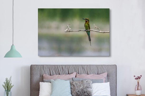 Tableau sur toile Le guêpier nain est assis sur une branche - 150x100 cm - Décoration murale