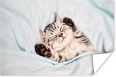 Poster Kitten - Bed - Poten - Meisjes - Kinderen - Jongens - Kind - 180x120 cm XXL