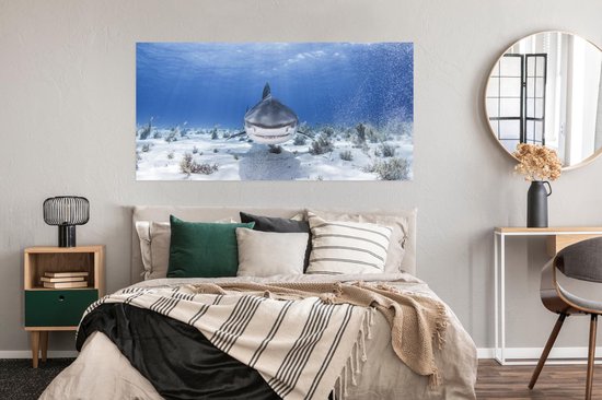 Affiche - Requin nageur - 160x80 cm