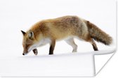 Jagende vos Poster 60x40 cm - Foto print op Poster (wanddecoratie woonkamer / slaapkamer) / Wilde dieren Poster