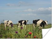 Drie Friese koeien in een grasveld in Nederland Poster 40x30 cm - klein - Foto print op Poster (wanddecoratie woonkamer / slaapkamer) / Boerderijdieren Poster