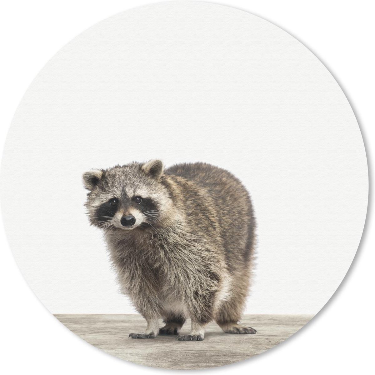 Muismat rond 20x20 cm - Mousepad Dieren - Wasbeer - Wit - Ronde muismatten