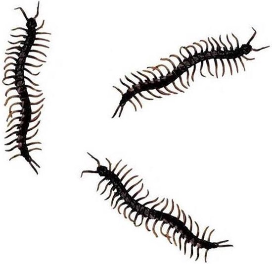 Horror decoratie nep duizendpoten - 12x stuks - zwart - 13 cm - Halloween/horror dieren insecten - decoratie/versiering