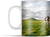 Mok - Koe - Zon -Dieren - 350 ml - Beker
