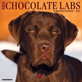 Labrador Retriever Bruin Kalender 2022