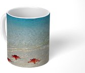 Mok - Zeester - Water - Golf - 350 ML - Beker