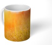 Mok - Gras met vroege dauw in ochtendlicht - 350 ML - Beker