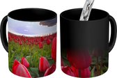 Magische Mok - Foto op Warmte Mok - Rode tulpen en een zonsondergang - 350 ML