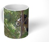 Mok - Koffiemok - Panda - Boom - Bladeren - Mokken - 350 ML - Beker - Koffiemokken - Theemok