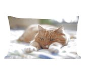 Sierkussen Chats' intérieur - Chat reposant sur lit - 60x40 cm - Coussin intérieur rectangulaire en coton