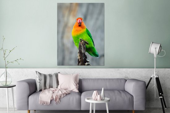 Lovebird Aluminium 80x120 cm - Tirage photo sur aluminium (décoration murale métal)