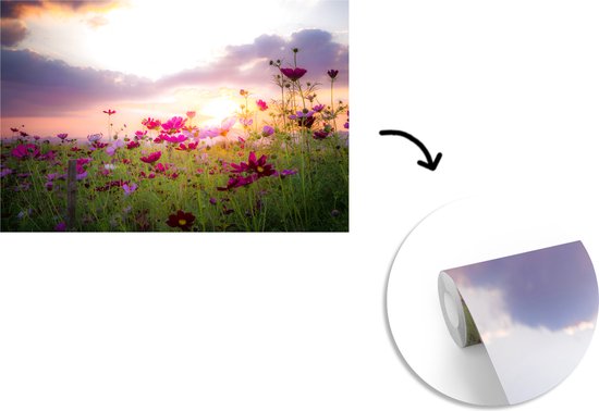 Champ de fleurs avec des fleurs roses au crépuscule 600x400 cm