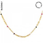 Ketting RVS gekleurde kralen