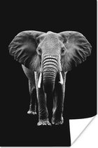 Poster Olifant met grote oren tegen zwarte achtergrond - zwart wit - 120x180 cm XXL
