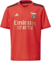 adidas Performance Het overhemd van de voetbal Slb H Jsy Y