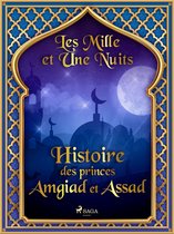 Les Mille et Une Nuits 48 - Histoire des princes Amgiad et Assad
