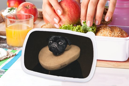 Boîte à pain Wit - Boîte à lunch - Boîte à pain - Peinture - Carlin - Maîtres anciens - 18x12x6 cm - Adultes