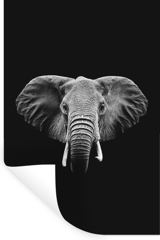Muurstickers - Sticker Folie - Olifant op een zwarte achtergrond - zwart wit - 80x120 cm - Plakfolie - Muurstickers Kinderkamer - Zelfklevend Behang - Zelfklevend behangpapier - Stickerfolie