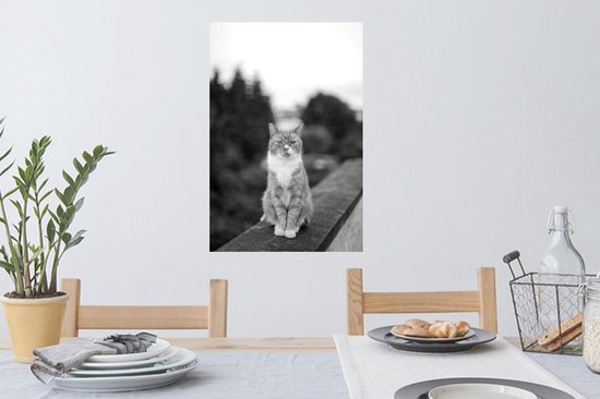 Stickers muraux - Film autocollant - Chat - Balcon - Forêt - Filles - Enfants - Garçons - Kids - 40x60 cm - Film adhésif - Stickers muraux Chambre d'enfant - Papier peint autocollant