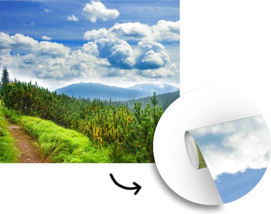 Papier peint - Papiers Papier peint photo Forêt - Chemin - Berg - Largeur 220 cm x Hauteur 220 cm