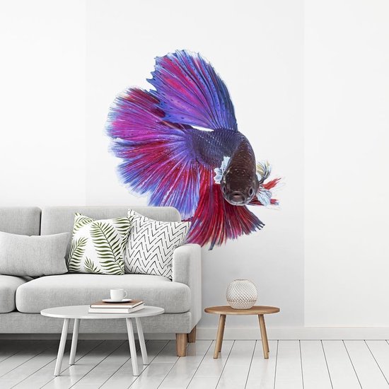 Papier Peint - Papiers Papier peint photo Poissons - Animaux aquatiques Marines - Staart - Largeur 170 cm x Hauteur 260 cm