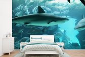Behang - Fotobehang Grote haai in een aquarium - Breedte 330 cm x hoogte 220 cm