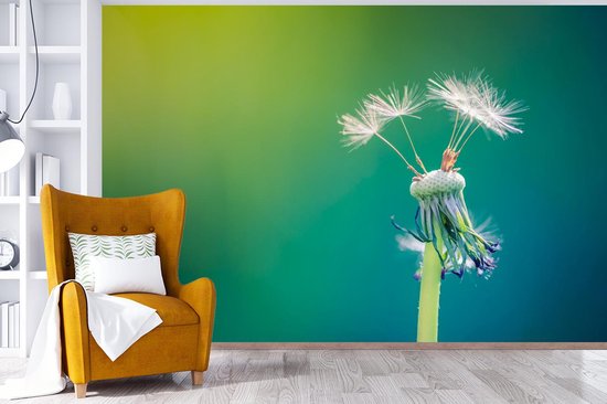 Papier peint photo peint photo vinyle - Pissenlit avec quelques graines largeur 525 cm x hauteur 350 cm - Tirage photo sur papier peint (disponible en 7 tailles)