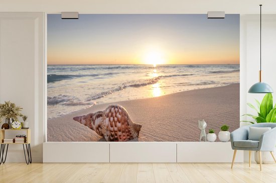 Papier fotobehang Coquillage sur la plage au coucher du soleil