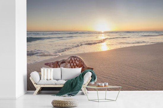 Papier fotobehang Coquillage sur la plage au coucher du soleil