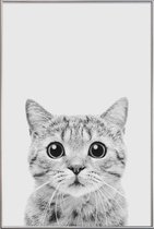 JUNIQE - Poster met kunststof lijst Kitten Classic -40x60 /Wit & Zwart