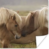 Affiche Paarden - Herbe - Marron - 75x75 cm