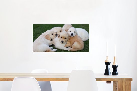 Affiche Animaux - Chiots - Chiens - 80x40 cm