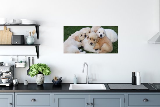 Affiche Animaux - Chiots - Chiens - 80x40 cm