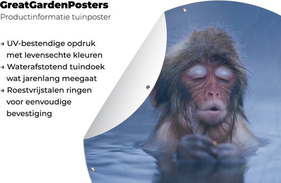 Garden Circle Snow Monkey Blue Water - 120x120 cm - Affiche de Jardin Ronde - Extérieur - XXL