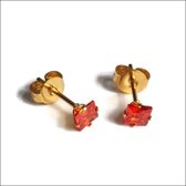 Aramat jewels ® - Zweerknopjes goudkleurig vierkant zirkonia rood chirurgisch staal 4mm