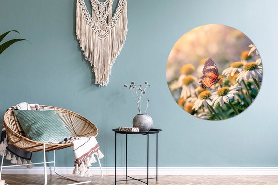 Cercle mural - Cercle mural Indoor - ⌀ 90 cm - Plastique - Papillon sur fleur de camomille