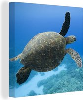 Canvas Schilderij Groene zwemmende schildpad fotoprint - 50x50 cm - Wanddecoratie