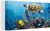 Canvas Schilderij Schildpad bij koraalrif - 40x20 cm - Wanddecoratie