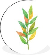 Illustration aquarelle feuilles sur tige Cercle mural aluminium ⌀ 120 cm - Tirage photo sur cercle mural / cercle vivant / cercle de jardin (décoration murale)