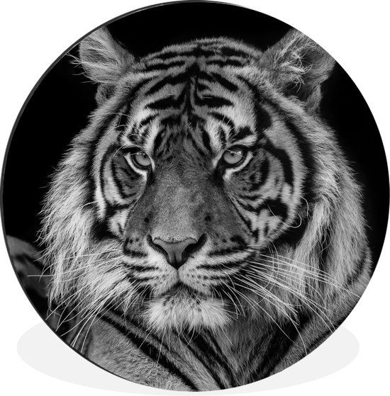 WallCircle - Wandcirkel - Muurcirkel - Dierenprofiel Sumatraanse tijger in zwart-wit - Aluminium - Dibond - ⌀ 30 cm - Binnen en Buiten