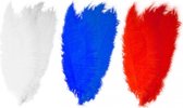 6x stuks grote veer/veren/struisvogelveren - 2x wit - 2x blauw - 2x rood - Decoratie sierveren van 50 cm