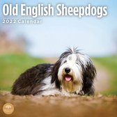 Bobtail / Old English Sheepdog Kalender 2022