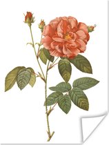 Illustration Vintage d'une affiche rose papier 60x80 cm - Tirage photo sur Poster (décoration murale salon / chambre) / Poster Fleurs