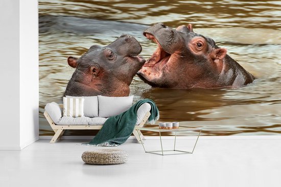 Papier peint - Papier peint Papier peint photo Hippopotame - Animaux - Water - Largeur 395 cm x hauteur 220 cm