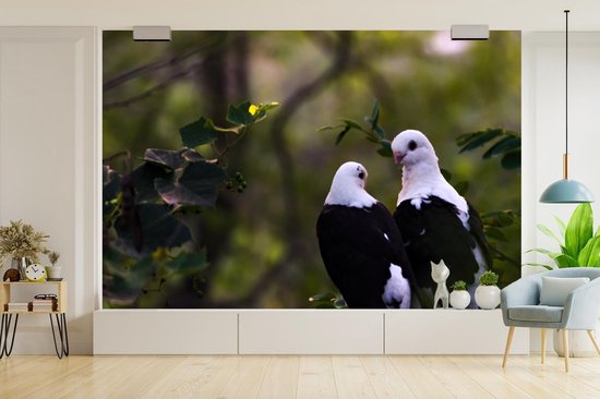 Papier peint photo peint vinyle - Deux oiseaux sur une branche largeur 360 cm x hauteur 240 cm - Tirage photo sur papier peint (disponible en 7 tailles)