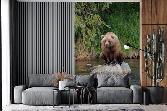 Papier peint - Papier peint photo Ours - Pierre - Animal - Largeur 180 cm x hauteur 280 cm