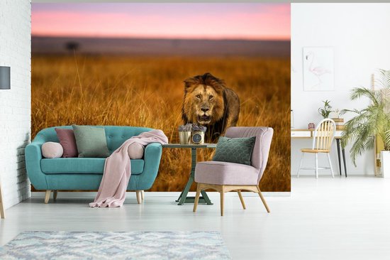 Papier peint - Papier peint photo Papier peint photo - Savane - Herbe - Largeur 305 cm x hauteur 220 cm