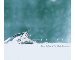 David Darling - Intune (CD)