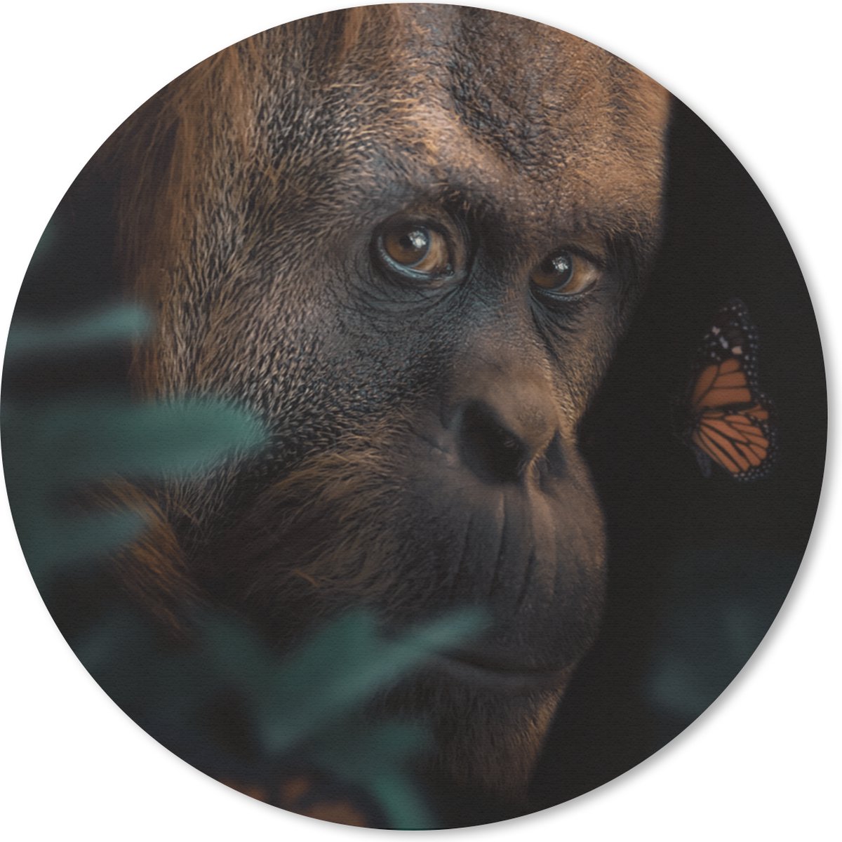 Muismat rond 30x30 cm - Mousepad Vlinder - Aap - Planten - Ronde muismatten