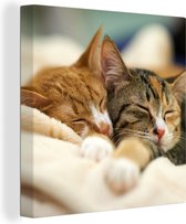 Schilderij kat - Twee katten - Kittens - Slapen - Kleed - Close up - Canvas kat - Katten schilderij - Wanddecoratie - 50x50 cm